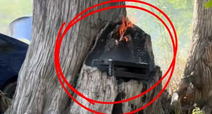 VIDEO | Le prende fuego a un árbol para hacer su carnita asada en Allende, Nuevo León