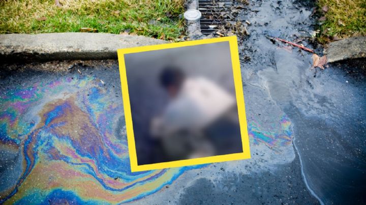 Derrame petrolero en Veracruz impacta tres Áreas Naturales Protegidas y alcanza 600 km de costa