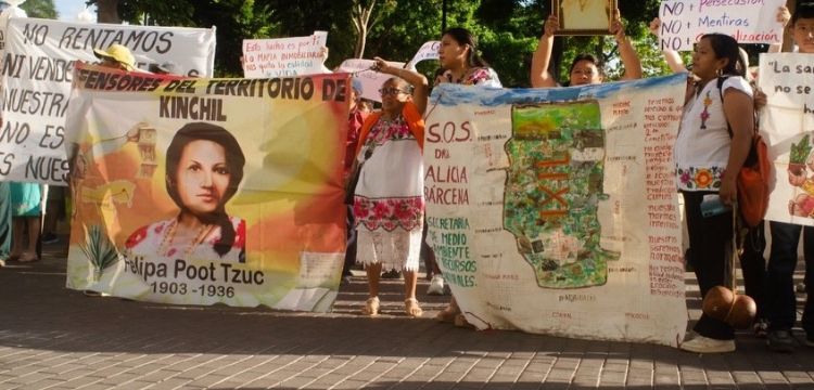 Habitantes de Yucatán denuncian devastación ambiental y exigen revisar permisos a inmobiliarias