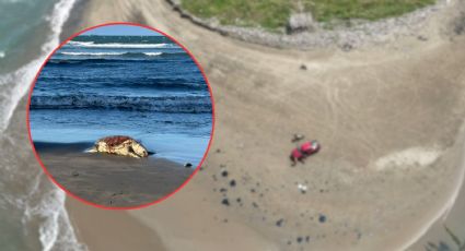 Pobladores denuncian la falta de limpieza tras el derrame de petróleo en Veracruz