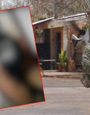 Foto descriptiva de: Joven que mató a dos maestras en Michoacán presumió arma; lo vinculan con contenido ‘Incel’