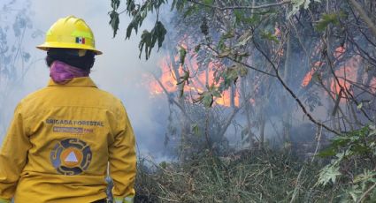Incendios forestales en Nuevo León duplican afectación en marzo; van más de 90 hectáreas dañadas