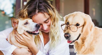 ¿Cómo puedes retrasar el envejecimiento de tus mascotas y brindarles una mejor calidad de vida?