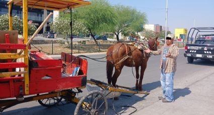 Detienen a hombre por presunto maltrato animal en Puerta de Hierro
