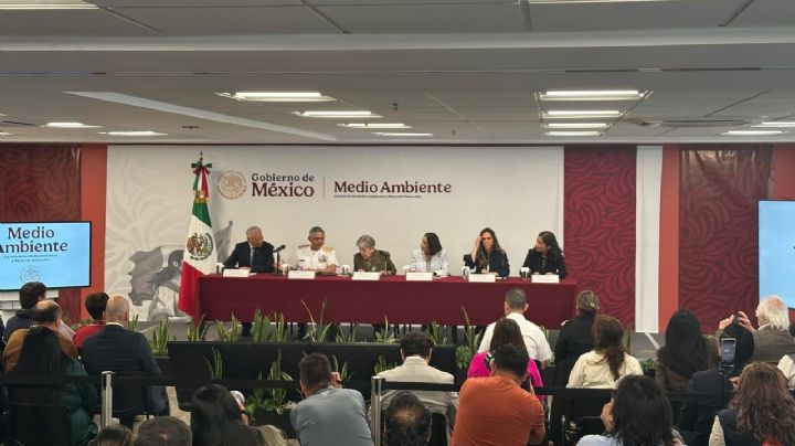 Son tres las fuentes de contaminación en el Golfo de México: Comisión Interinstitucional