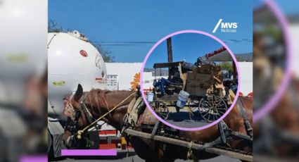 Rescatan a caballo que era maltratado con exceso de carga en Monterrey