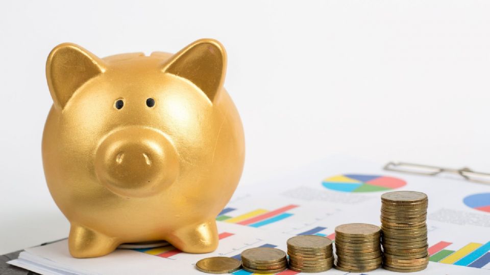 El objetivo de este manual de herramientas no es prometer riqueza rápida, sino permitir que el ciudadano común tome las riendas de su economía.