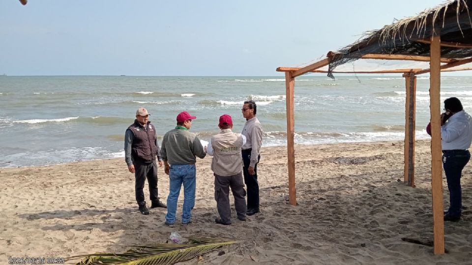 Las playas del Golfo de México ya se encuentran limpias.