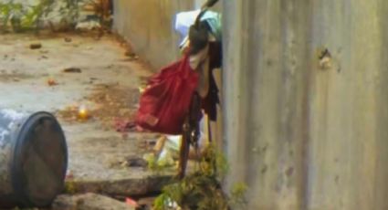 Encuentran a hombre sin vida en el Arroyo Seco en Monterrey