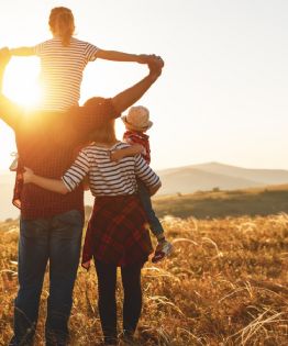 Felicidad, familia, soledad