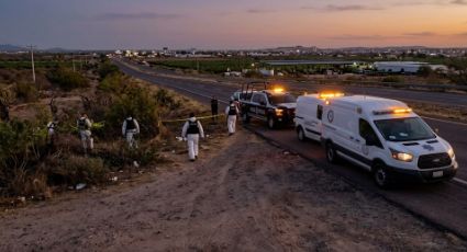 Luto en el sector agrícola de Mazatlán: Localizan sin vida a empresario tras días de búsqueda