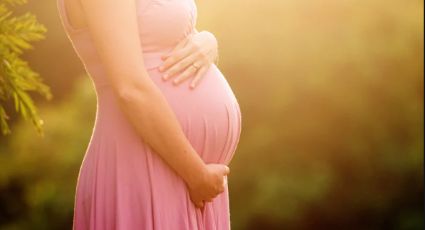 Lanza Holanda un portal en línea para la píldora abortiva ¿Aumenta la autodeterminación o el peligro?