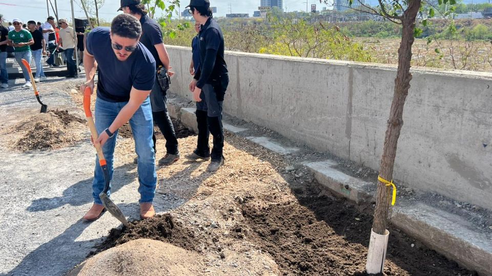 Autoridades estatales iniciaron la plantación de árboles en el parque lineal de la Línea 4 del Metro sobre avenida Constitución.