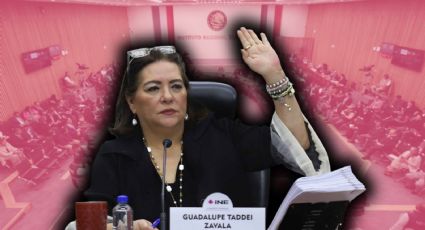 ¿Quiénes serán los nuevos consejeros del INE? Van 395 aspirantes al cargo