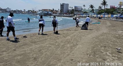 Continúa la recolección de toneladas de material hidrocarburo del Golfo de México