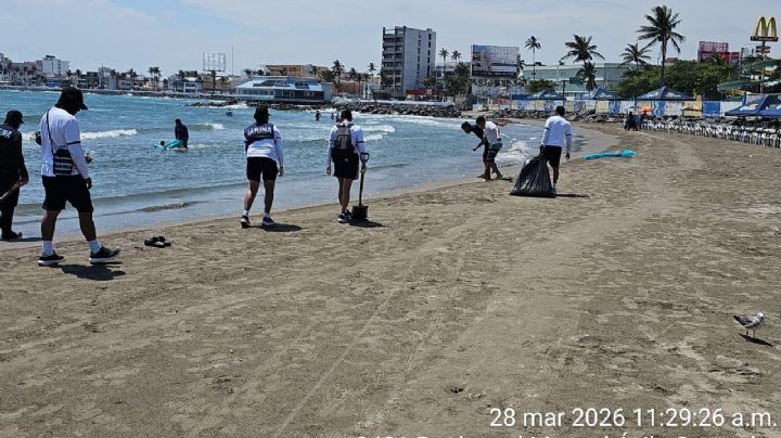 Continúa la recolección de toneladas de material hidrocarburo del Golfo de México