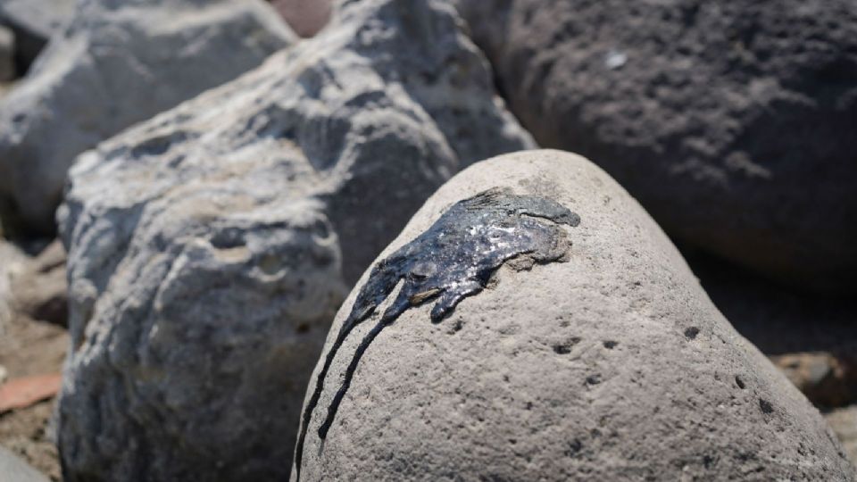 El biólogo Vargas Quiño considera que el Plan Nacional de Contingencias se activó correctamente.