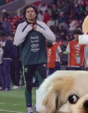 Foto descriptiva de: Los mejores memes de México vs Bélgica; reacciones virales que dejó el amistoso previo al Mundial