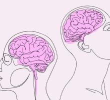 Alimentos clave para mantener un cerebro joven y saludable