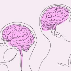 Alimentos clave para mantener un cerebro joven y saludable