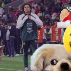 Los mejores memes de México vs Bélgica; reacciones virales que dejó el amistoso previo al Mundial