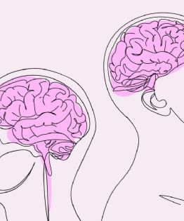 Alimentos clave para mantener un cerebro joven y saludable