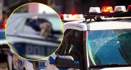 VIDEO | De película: Mujer escapa de patrulla en Michigan estando esposada