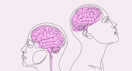 Alimentos clave para mantener un cerebro joven y saludable