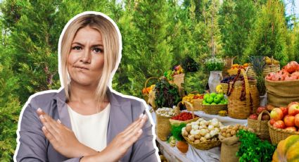 Viveros de Coyoacán en riesgo: Denuncian mercado ilegal y pérdida del 23% de su superficie forestal