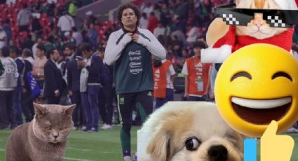 Los mejores memes de México vs Bélgica; reacciones virales que dejó el amistoso previo al Mundial