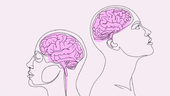 Alimentos clave para mantener un cerebro joven y saludable