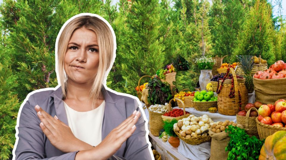 El programa 'Mercados de la Tierra', promovido por la Comisión de Recursos Naturales y Desarrollo Rural de la Ciudad de México, permite que comerciantes se instalen dentro de Viveros Coyoaçán.