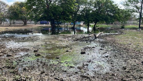 Grave fuga de aguas negras en parque de Ciudad Caucel genera preocupación entre vecinos