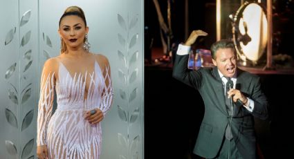 Así luce actualmente Miguel Gallego, el hijo mayor de Luis Miguel y Aracely Arámbula