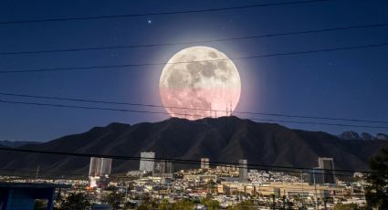 Luna rosa 2026: ¿Se podrá ver en Monterrey?
