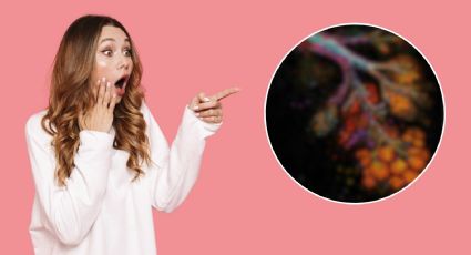 ¿El riesgo de cáncer de mama aumenta tras la menopausia? Esto descubrió la ciencia