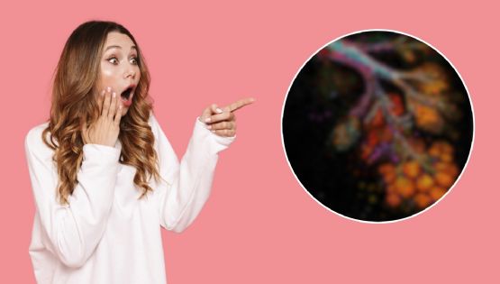 ¿El riesgo de cáncer de mama aumenta tras la menopausia? Esto descubrió la ciencia