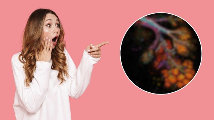 ¿El riesgo de cáncer de mama aumenta tras la menopausia? Esto descubrió la ciencia