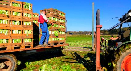 Aseguran representantes de ANTAC y FNRCM que persiste rezago en el campo e inseguridad en carreteras