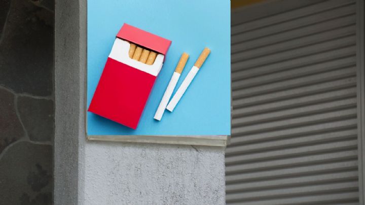 Decomisan 50 toneladas de mercancía ilegal en la Central de Abastos