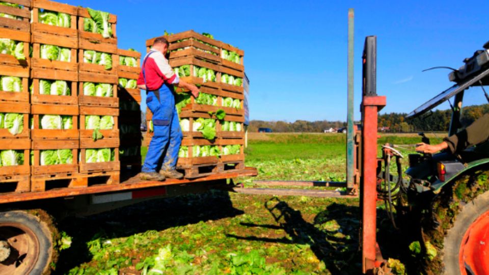 Aseguran que persiste rezago en el campo.