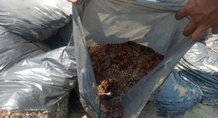 Marina aclara que bolsas halladas en playas de Veracruz no contenían hidrocarburos