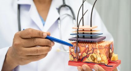 ¿Recompensa a cambio de un riñón? Trasplante de órganos en Europa