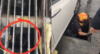 Rescatan a mujer atrapada en alcantarilla en Santa Catarina; fue arrastrada 100 metros por la lluvia