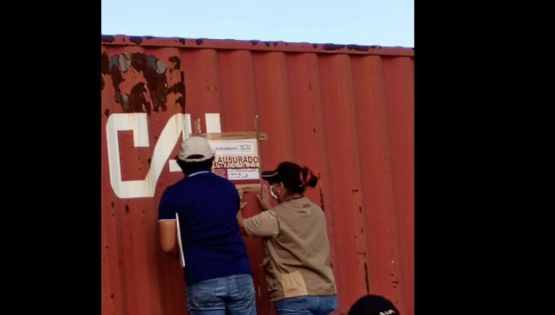Profepa clausura maquinaria tras devastación de 1,500 hectáreas en Becanchén, Tekax