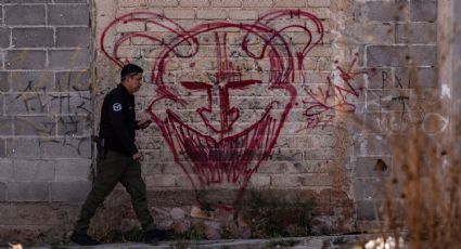 Sumando… Esfuerzos multinacionales contra la delincuencia