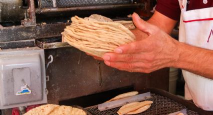 Gobierno descarta aumento en el precio de la tortilla; AGRICULTURA y Profeco llaman a evitar alzas