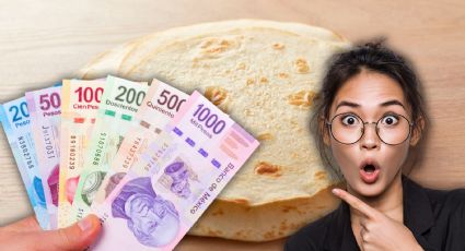 Precio de la tortilla en México: causas del aumento y cuándo impactará al consumidor