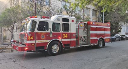 Se incendia palmera por cortocircuito en el Centro de Monterrey