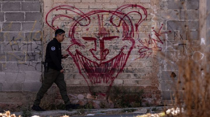 Sumando… Esfuerzos multinacionales contra la delincuencia